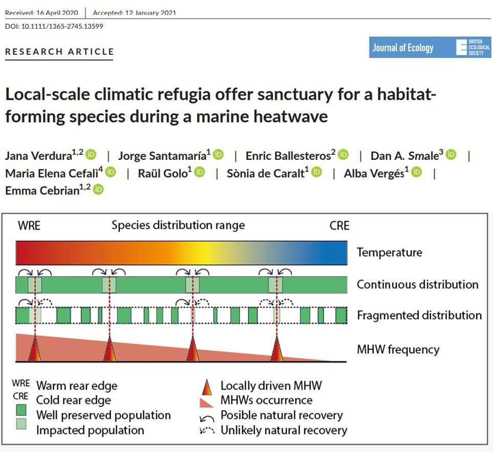 Marine Forest tweet media