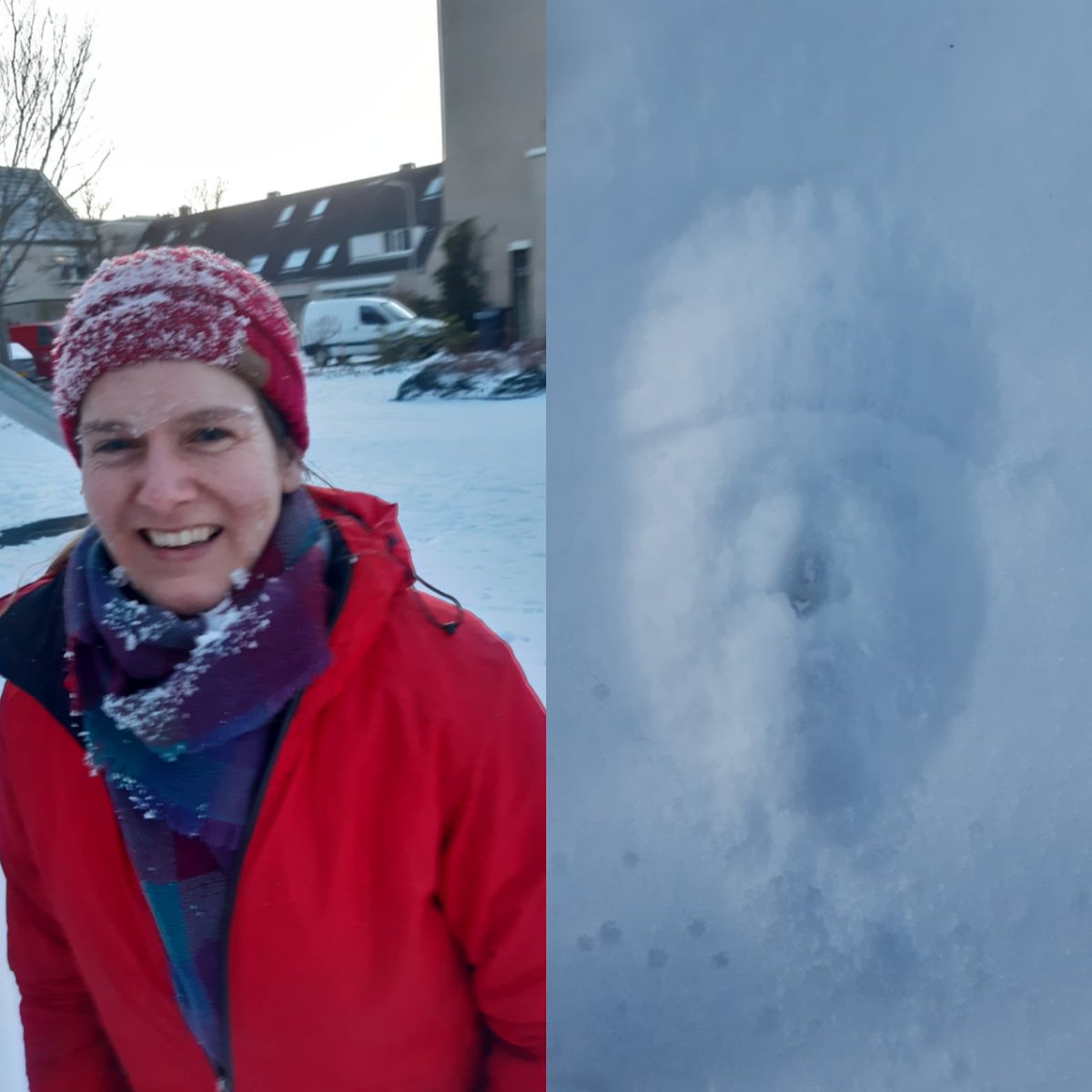 EliseW's tweet photo. #snowfacechallenge  ✅ https://t.co/yKDtpoRdTd