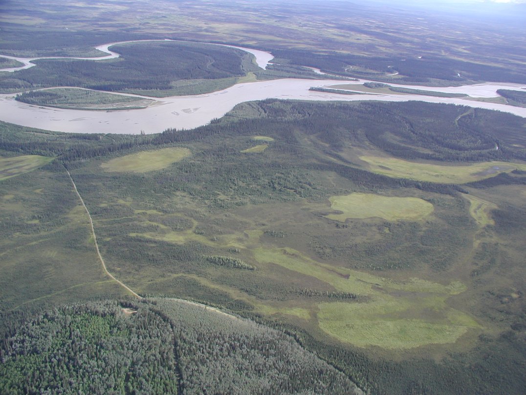 Setting of this discovery: a fen where we've maintained drought & flooding treatments for two decades! I started this experiment as a postdoc w/  @USGS; it's now supported by  @NSF &  @BNZ_LTER. Here are photos of our plots (~800m2) w/ boardwalk & floodplain. 2/