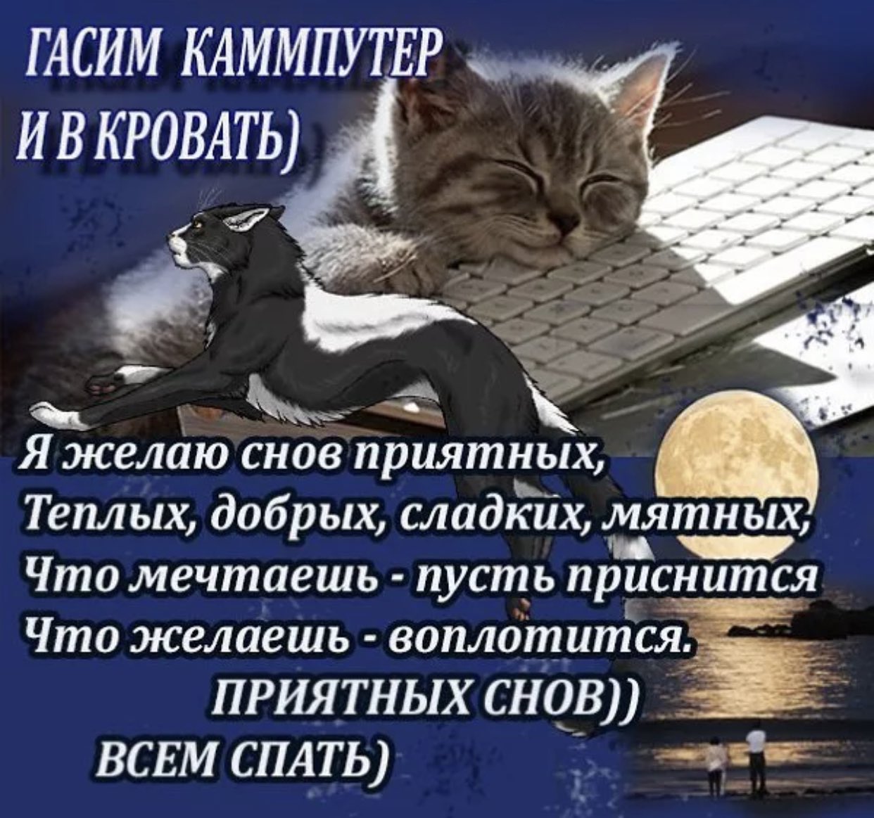 Цитаты спокойной ночи прикольные