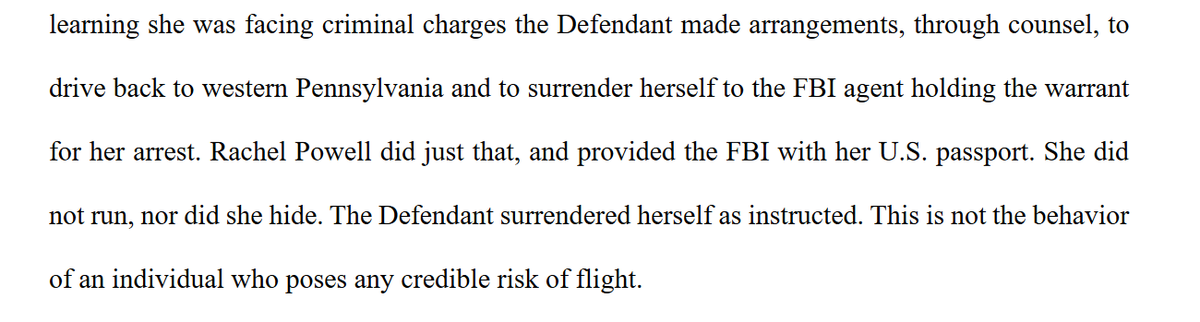 Rachel Powell, the "Bullhorn Lady," wants to stay home before her trial. In a memo filed today she notes she's a mom of 8, 5 of whom are homeschooled. But she also admits that when she learned the FBI was after her, she returned to PA to surrender herself. Were her kids w/her?