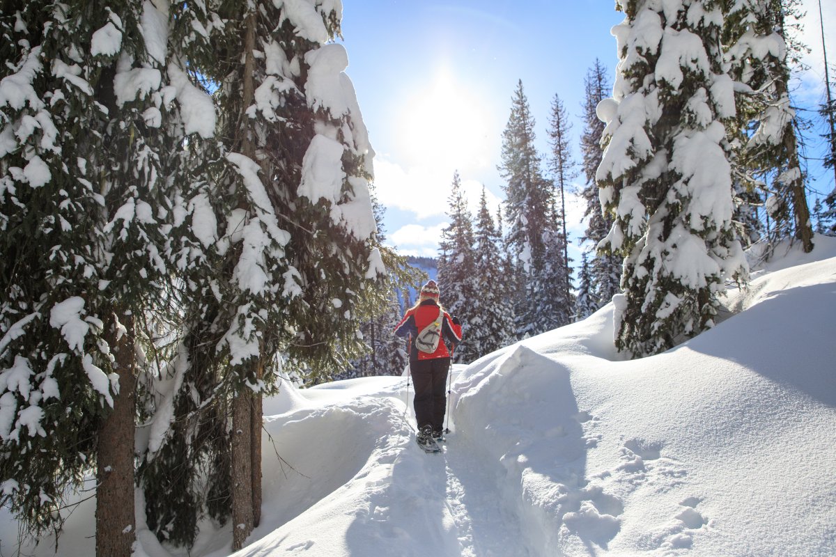 visitbitterroot's tweet photo. One of our best-kept secrets: the Bitterroot Valley has miles of cross-country skiing and some of the best winter conditions around. 

Plan your winter trip here: https://t.co/lzRkXsHYXE. https://t.co/Dbe3QOK5pO