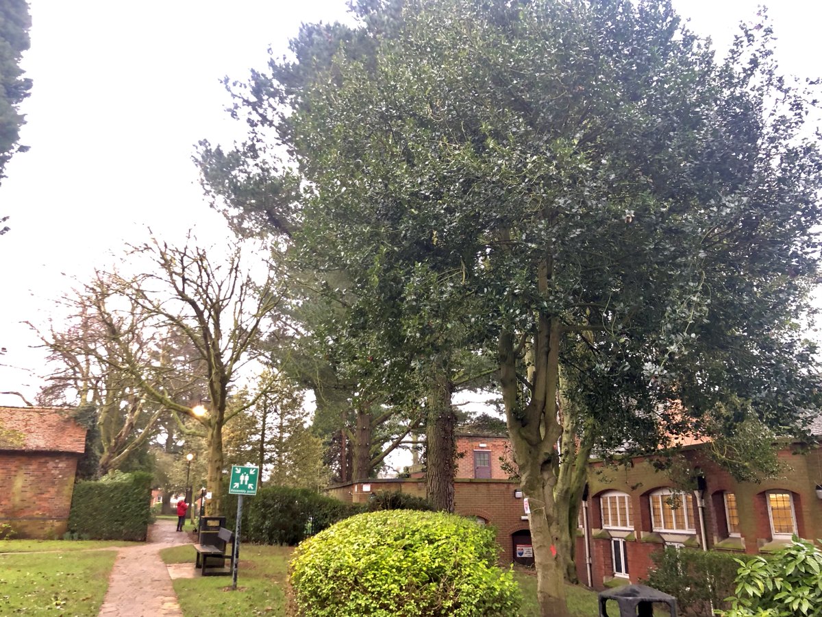 This prompted people to re-examine the plans, and then the sh*t really hit the fan when  @AmandaJanePres2 noticed red marks sprayed on some of the trees in the development area.Amanda and her son Jack were straight out there with 'Save me' signs on the red marked trees.5/