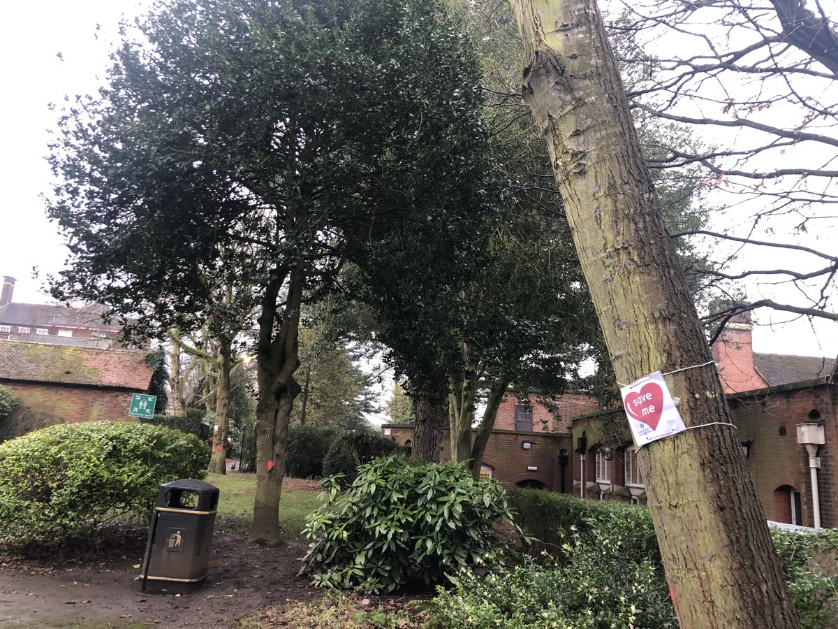 This prompted people to re-examine the plans, and then the sh*t really hit the fan when  @AmandaJanePres2 noticed red marks sprayed on some of the trees in the development area.Amanda and her son Jack were straight out there with 'Save me' signs on the red marked trees.5/