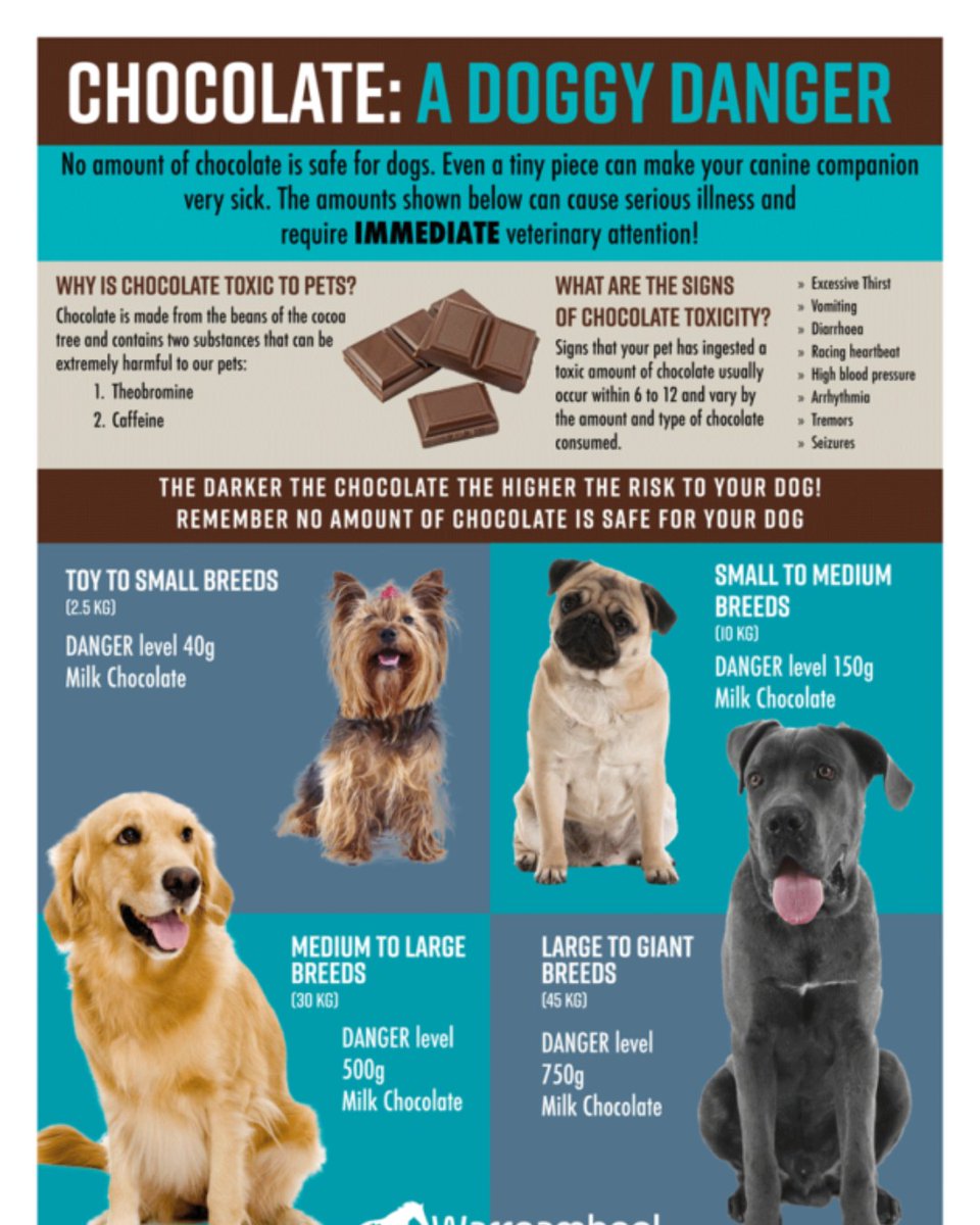 Winnebago Pet Expo tweet media