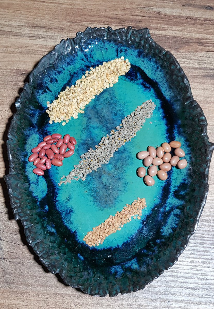 16 Şubat 2021 saat 21:⁰⁰ a kadar bu twete RT eden 3  takipçimize çekilişle görseldeki ATALARIMIZDAN YADİGAR  TOHUMLARI  hediye ediyoruz.🐞 (Tohumlar; köy domatesi- köy biberi -  patlıcan- fasulye )