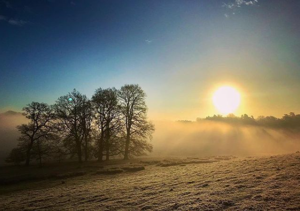 Bowood Hotel, Spa & Golf Resort tweet media