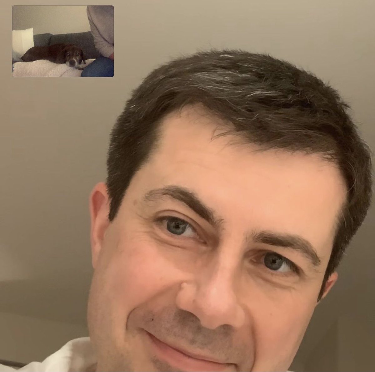 @firstdogsSB Buddy and Truman Zooming with dad this morning @Chasten @PeteButtigieg #Zoom #MissingDad #LGBTQ #BuddyButtigieg #TrumanButtigieg
