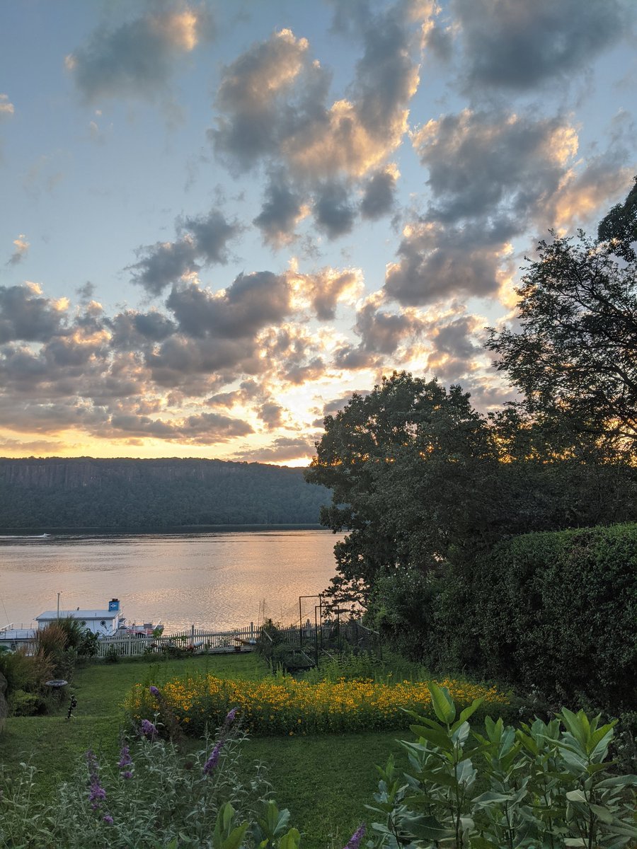 A thread about birds and bees and flowers: Over the past couple of years we've dug up part of our lawn and replaced it with a strip of wildflower meadow. Here it is in midsummer. The black-eyed Susans and Joe Pye weed are popular with bees other native pollinators.