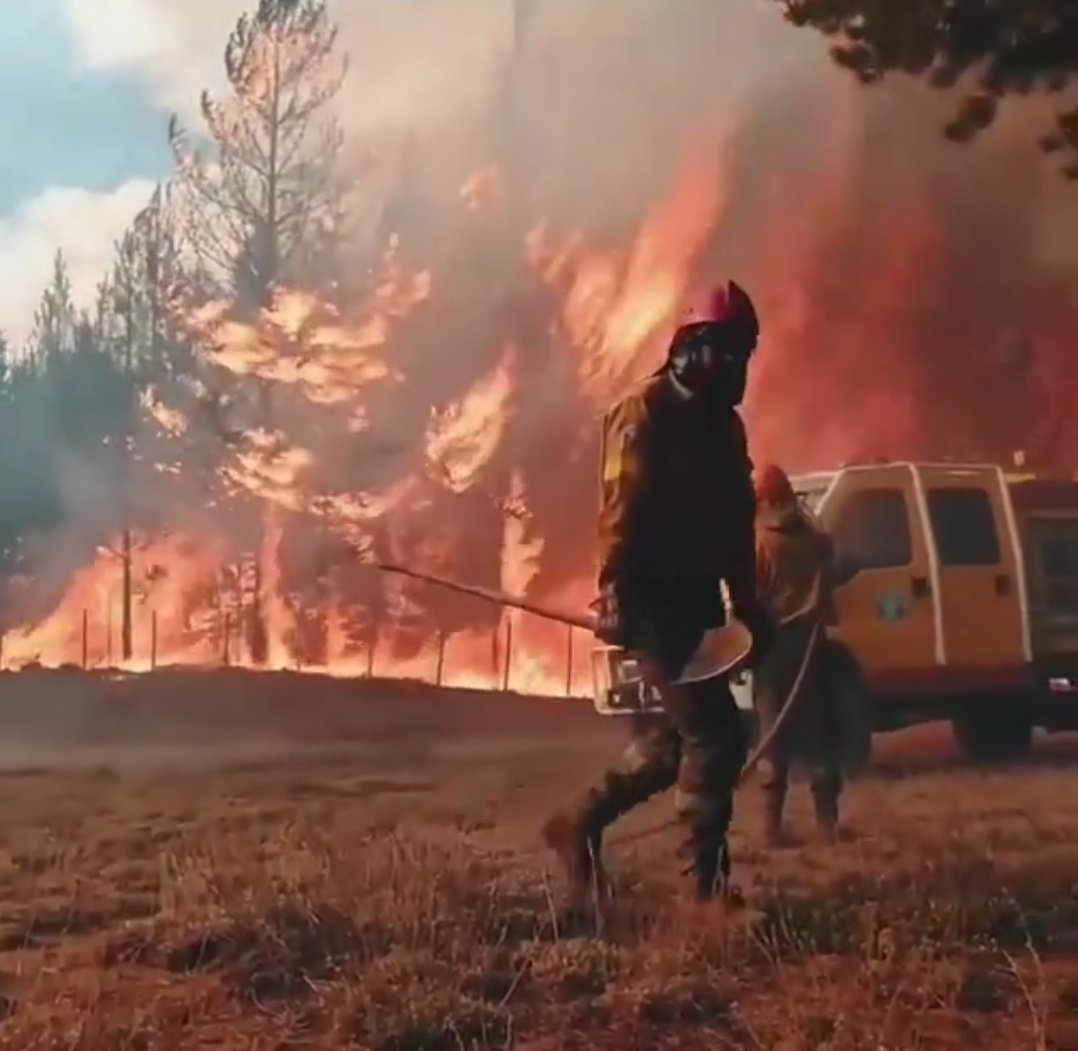 AlCarajoCultura's tweet photo. Se quema el bosque del Bolsón
Decenas de brigadistas, bomberxs y voluntarixs se suman a las tareas para combatir los incendios poniendo en riesgo la vida, para salvar una de las fuentes más importantes de biodiversidad de la Argentina
#elbolsonEnLlamas
#DefensaDelBosque https://t.co/No9CzP5fX4