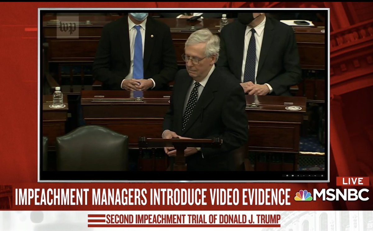 Raskin shows a video of what that would mean for our future. Video begins with Trump inciting crowd "Take the Capitol""If you don't fight fight hell, you aren't going to have a country anymore" Shows footage of McConnell denying Big Lie that election fraud tipped scale11/