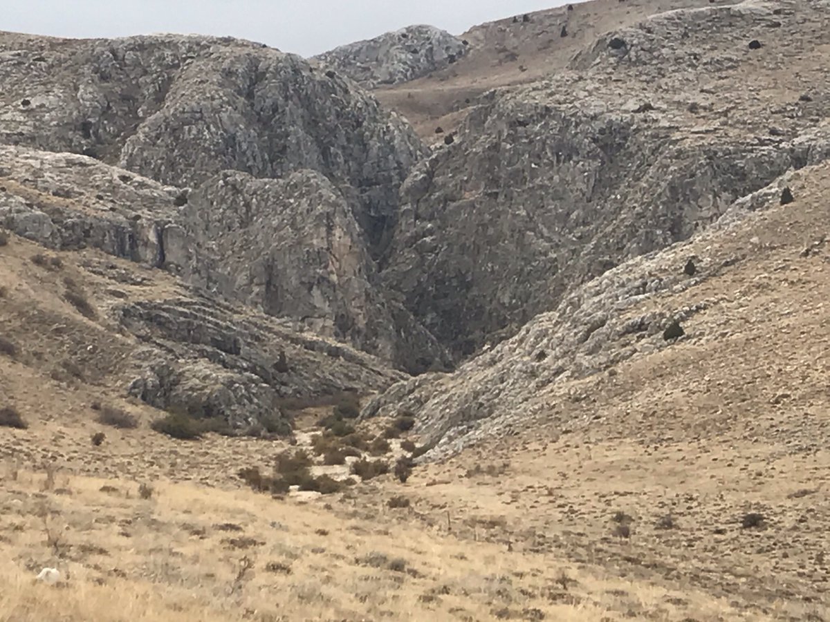 #yabandabizimvatandabizim