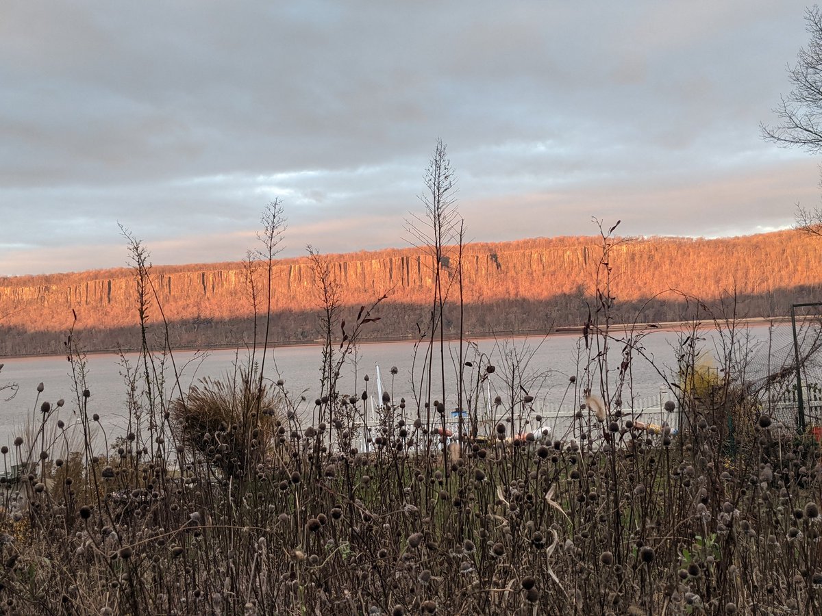 By December the meadow is just dry stalks that rustle in the wind. To some people it might look like untended weeds.