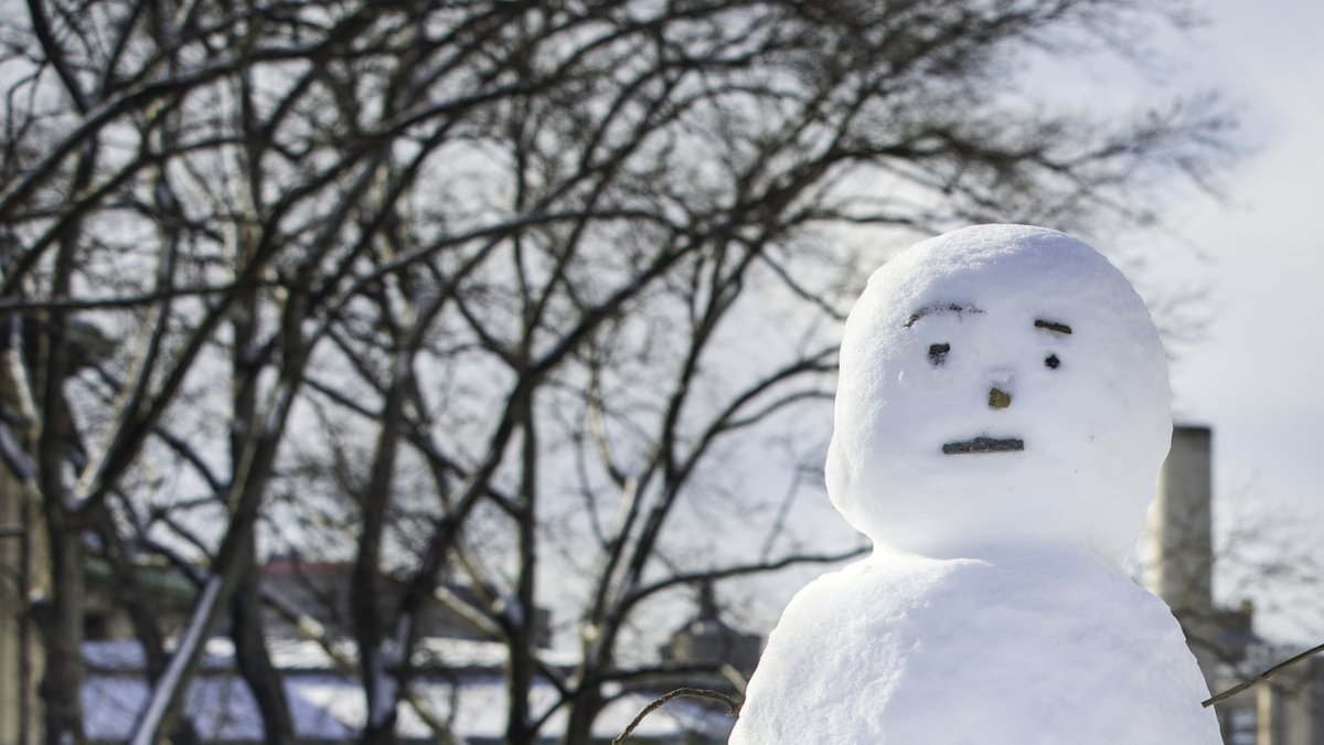 Carnegie Mellon University tweet media