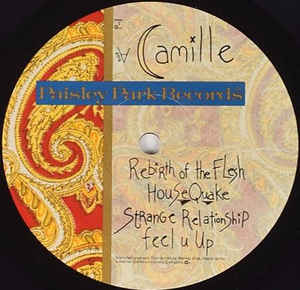 The song was the first track of the unreleased project “Camille” and, in fact, it was the only one from this project which wasn’t published by Prince in any other subsequent projects. We had to wait until 2020 to enjoy this amazing song in a high quality studio version.