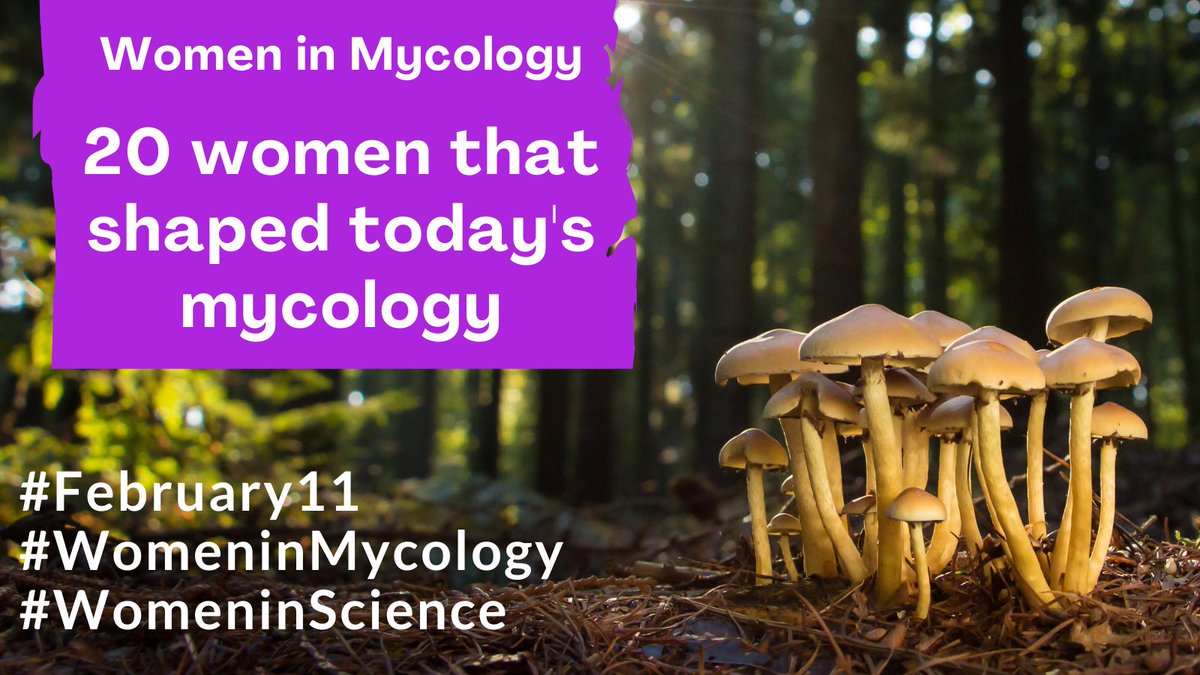 This Thursday, Feb 11th, is the International Day of Women and Girls in Science. Women play and have played a vital role in shaping today's knowledge of fungi; here you have the stories of 20 of the hundreds of women mycologists we celebrate on  #Feb11  #WomenInScience (thread)