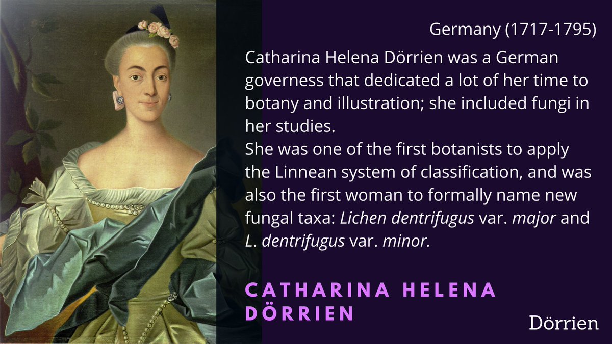 First, Catharina Helena Dörrien, the first woman to describe fungal taxa using the Linnean system of classification that we still use today  #February11  #WomenInScience