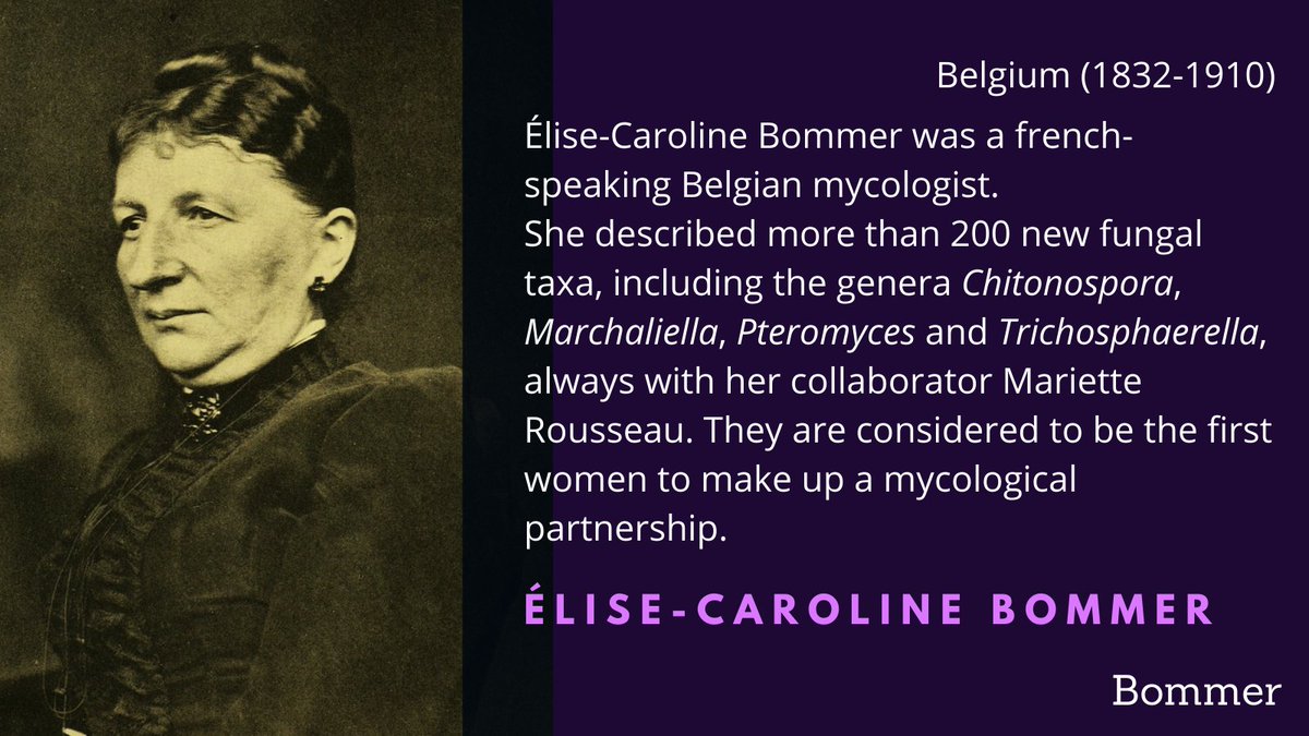 Élise-Caroline Bommer, together with her myco-partner Mariette Rousseau, was one of the pioneer women of Belgian mycology  #WomenInScience