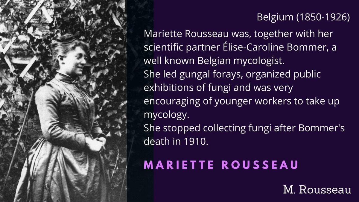 Mariette Rousseau was Bommer's myco-partner, and an important promoter of amateur mycology in Belgium, organising forays and exhibitions. When Bommer died in 1910, she stopped collecting fungi and started managing their botanical collection  #WomenInScience