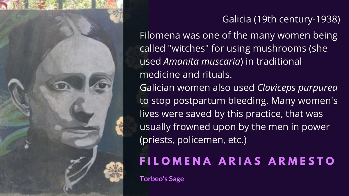 Spetial mention to all the women who were called "witches" for using mushrooms in their traditional practices. One of them was Filomena Arias Armesto, a Galician woman better known as Torbeo's Sage; it is thought that she used Amanita muscaria on her rituals  #WomenInScience