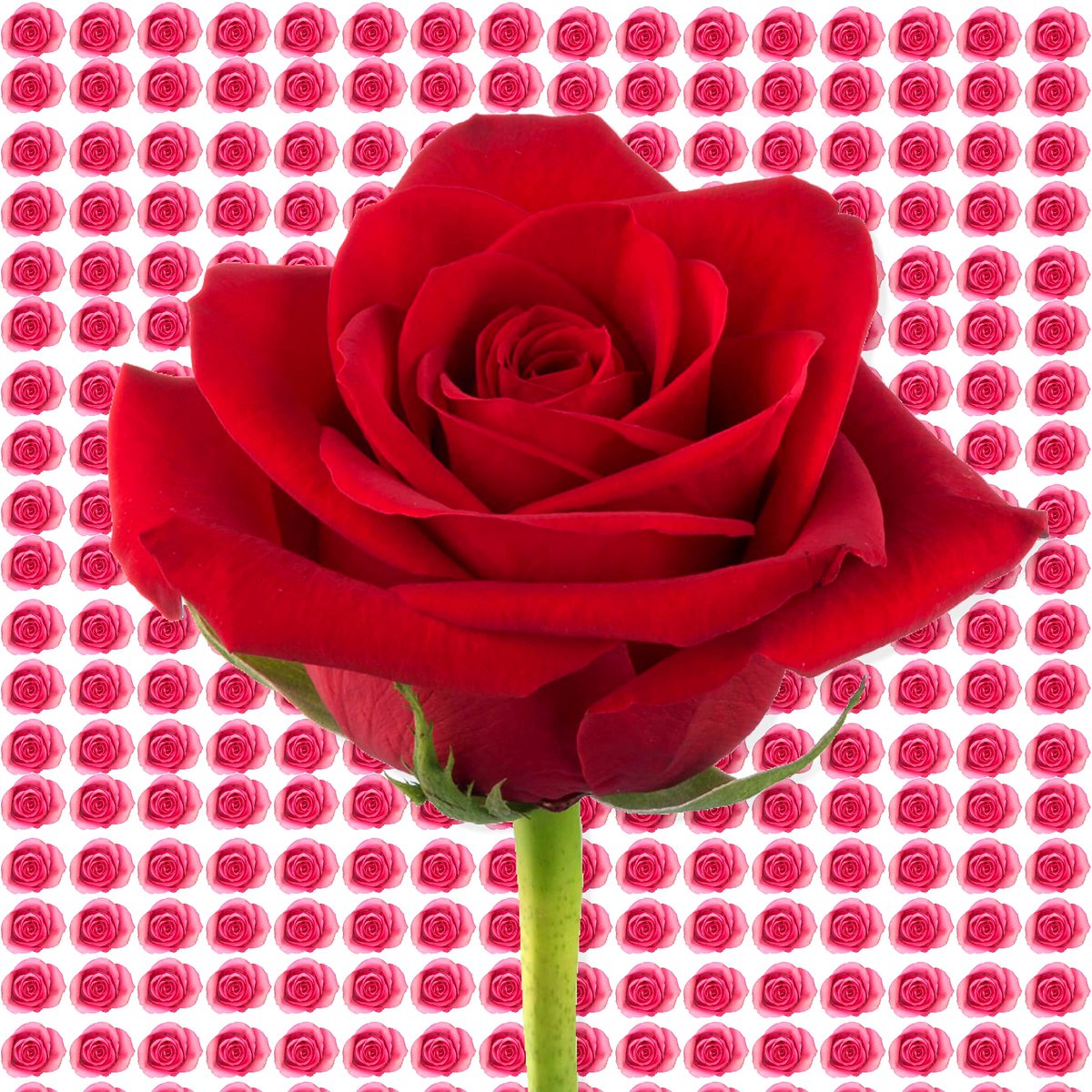 5 days until #ValentinesDay 🌹💘❤💝