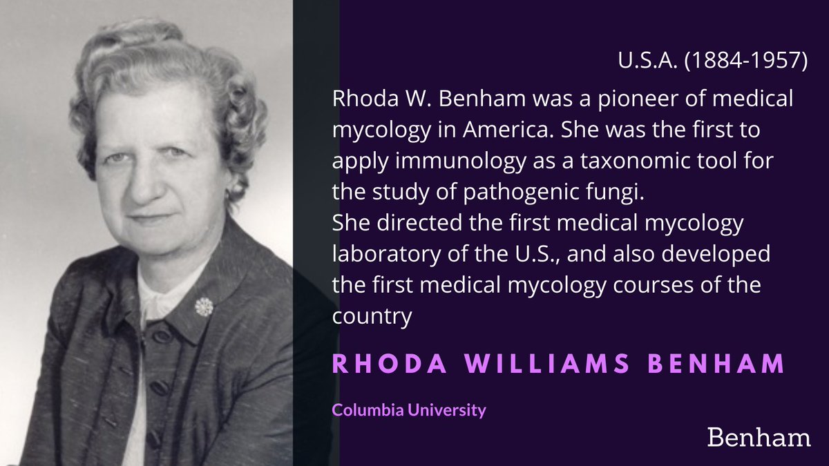 Rhoda Benham's was a pioneer of medical mycology in the US, and her contributions to the field were quite extensive. This led to the  @MMSAmycology to name their annual awards for outstanding contributions to medical mycology after her  #WomenInScience