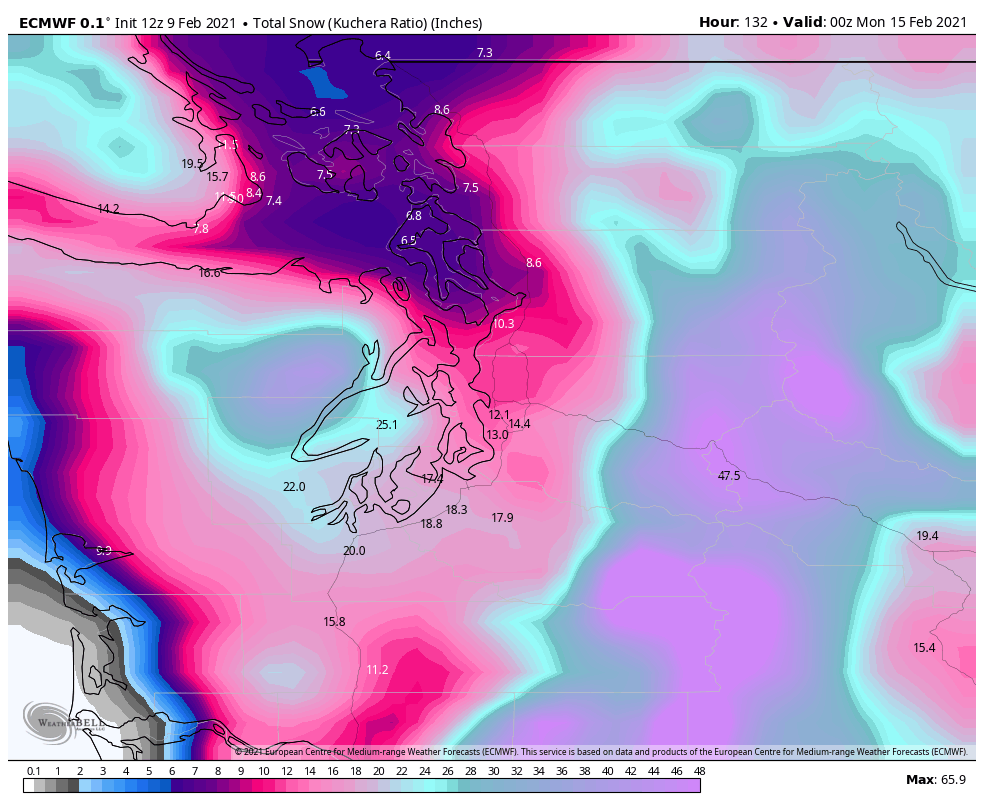 2/4 As has been noted across the  #wawx universe this morning, the overnight & AM GFS runs (really the last holdout showing less amounts) have come around to the more snowy Euro solution. Here's some total snow maps from latest Euro, GFS, Canadian, & ICON models ending Sunday PM.
