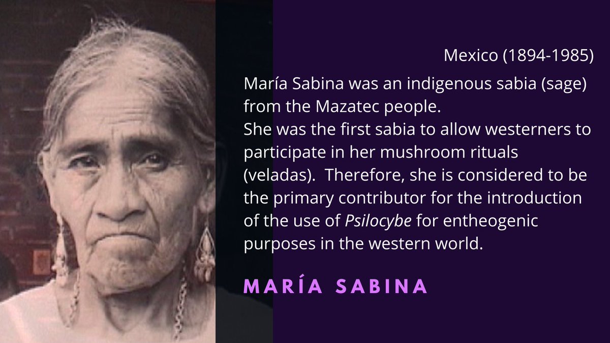 María Sabina's story is quite tragic: born poor and in an abusive marriage, she was harassed by westerners that wanted to profit from her knowledge. Her veladas were rooted in spirituality, but the foreign people she invited to them were only looking for leisure  #WomenInScience