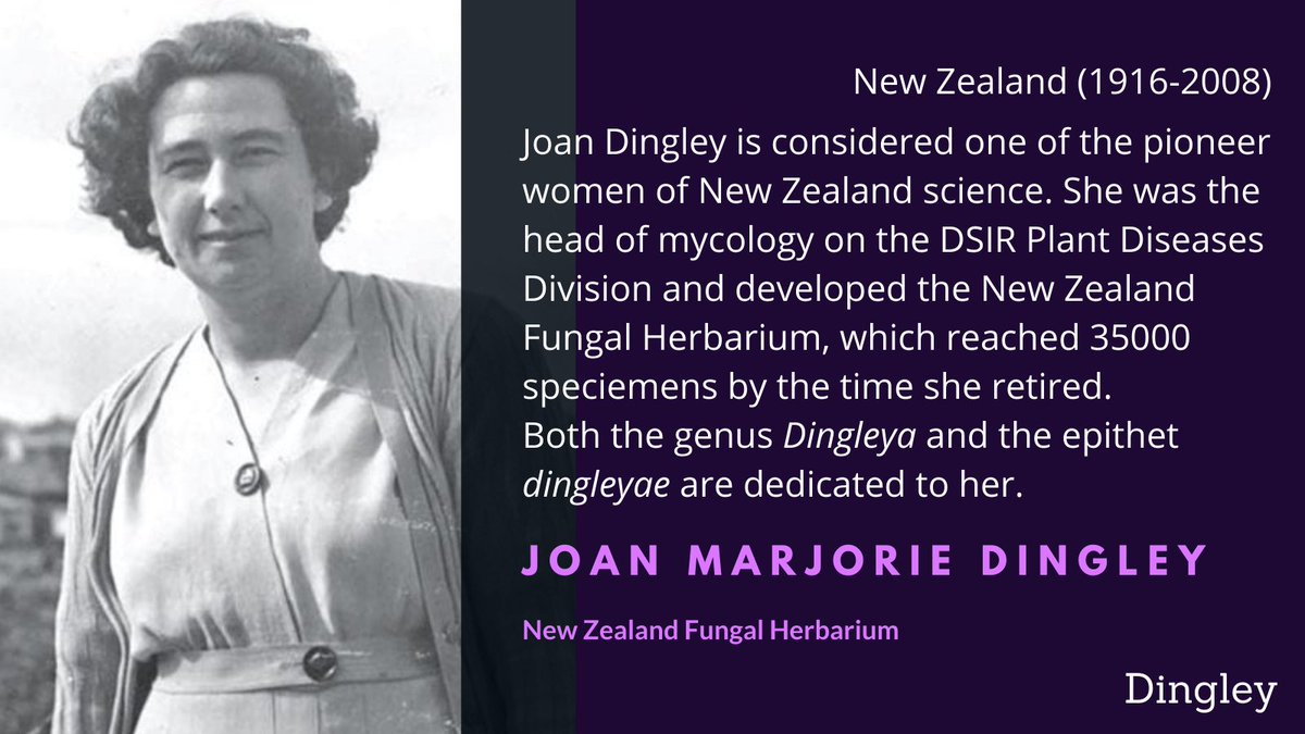 Joan Dingley was a world authority in Ascomycetes, with a particular interest in the Hypocreales. She also was awarded with the Order of the British Empire in 1995  #WomenInScience