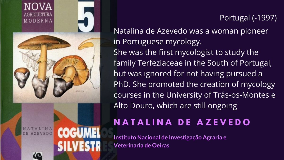 Natalina de Azevedo is considered to be a pioneer in the creation of mycological relationships between Galiza and Northern Portugal. She was an key promoter of mycology courses around Portugal, which are still ongoing  #WomenInScience  @UTAD_RS