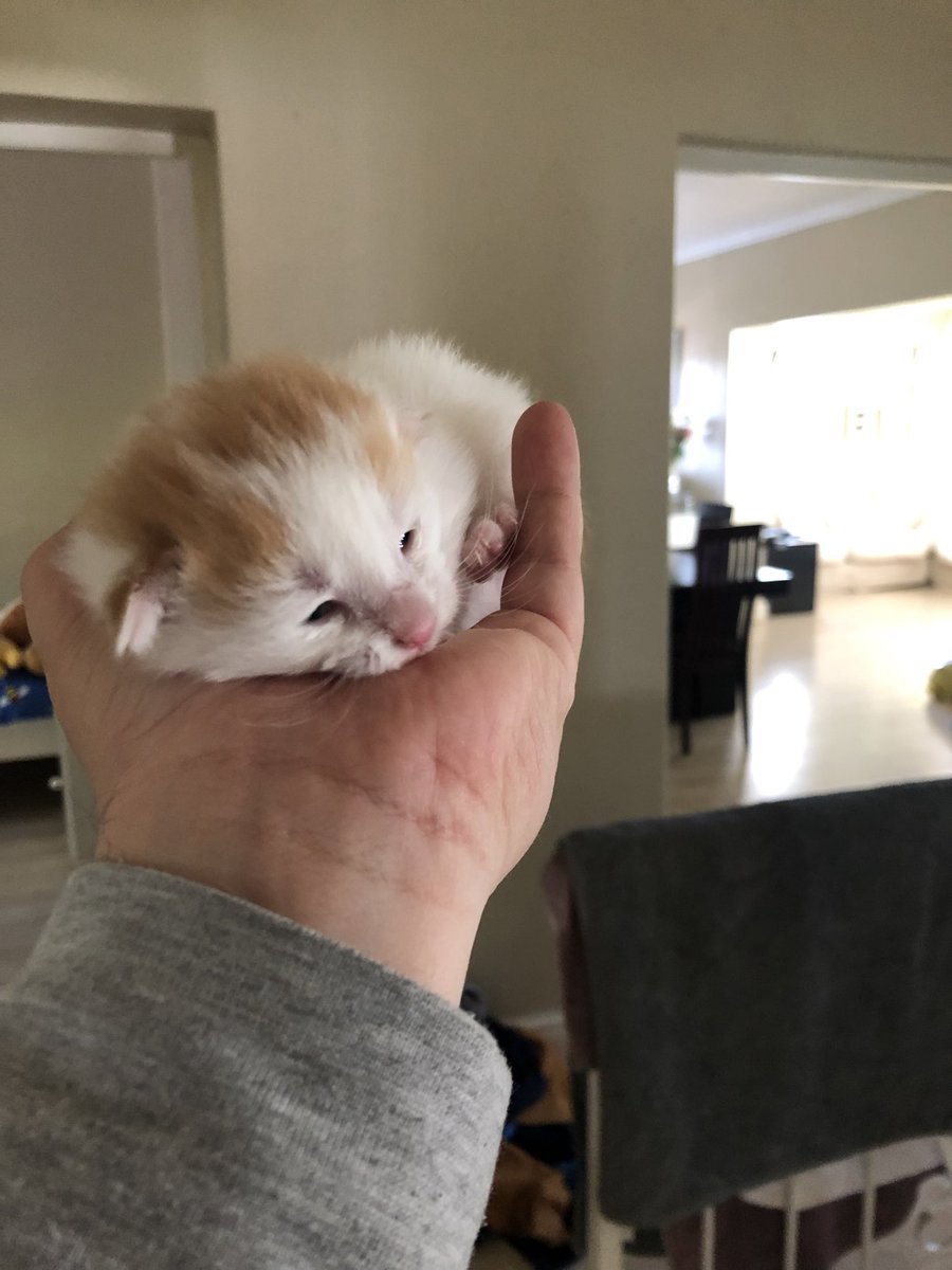 Warren Barkhuizen tweet media