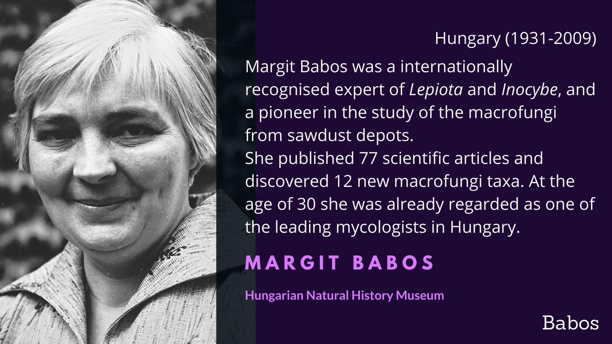 At the age of 20, Margit Babos joined the Hungarian National History Museum as a curator, and at age 30 she was already a lead mycologist in Eastern Europe. The epithet "babosiae" is dedicated to her  #WomenInScience @termtudmuz