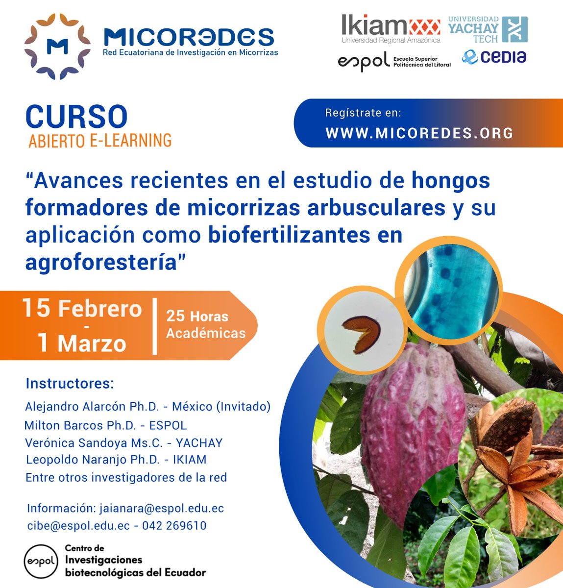 𝘾𝙪𝙧𝙨𝙤 𝙀-𝙡𝙚𝙖𝙧𝙣𝙞𝙣𝙜:

Avances Recientes en el Estudio de Hongos Formadores de Micorrizas y su Aplicación como Biofertilizantes en la Agroforestería

Inscripciones: micoredes.org