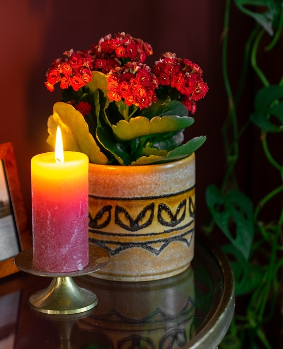 Buiten is het koud maar binnen.. 💗🌺⁠
#AlwaysKalanchoe #Kalanchoe #woestijnroos #AltijdKleurrijk #altijdMakkelijk #alwayscolourful #easycare #AltijdGezellig #vetplant #vetplantmetbloemen #potbloeier