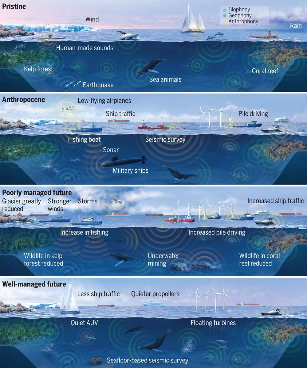 Science Magazine tweet media