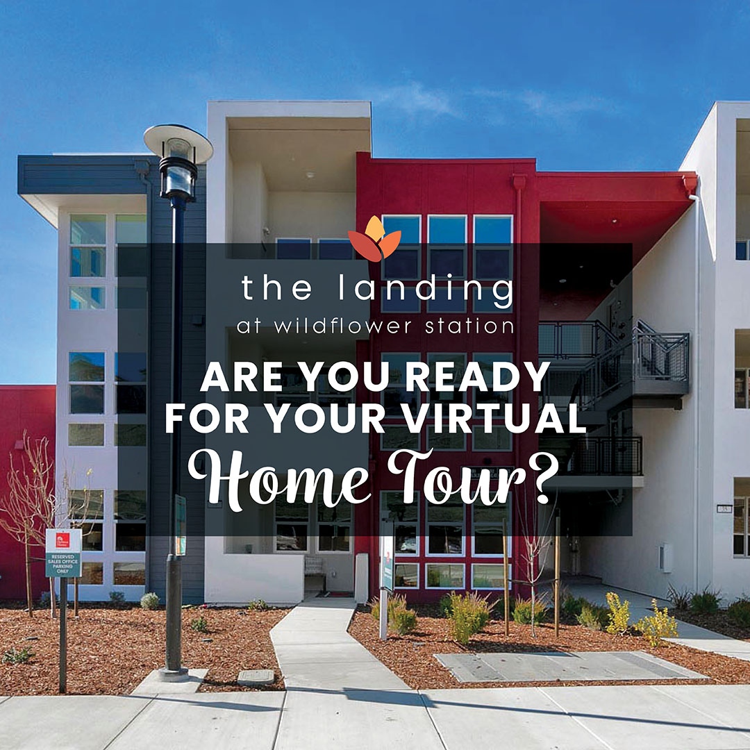 The Landing at Wildflower Station in Antioch
🏘️Virtual Home Tours Now Available
Click here to tour &gt;&gt; bit.ly/3cXiH4o

#denovahomes #buildingabettercommunity