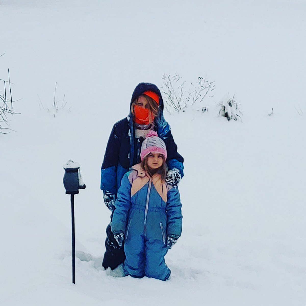 Nicole Tackett tweet media