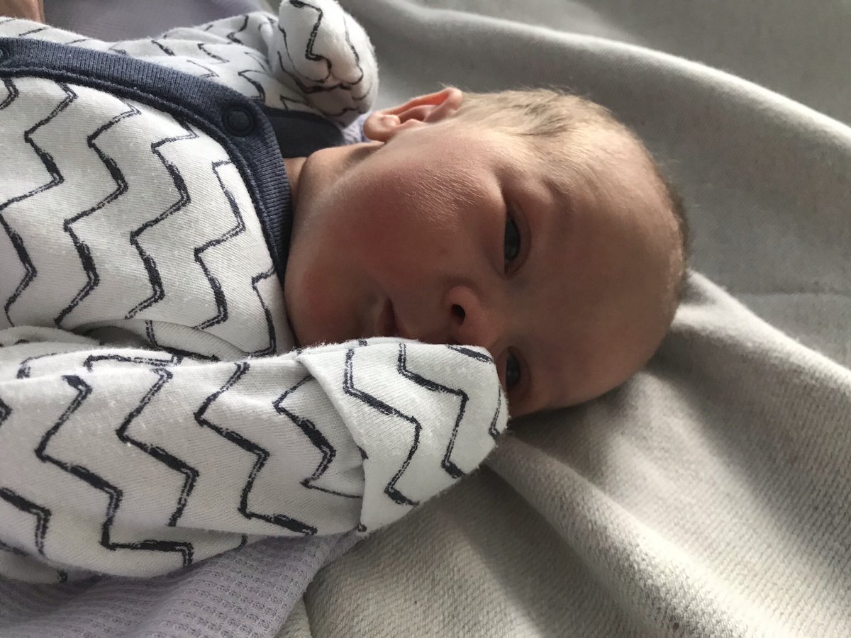 Sarah Herbert tweet media