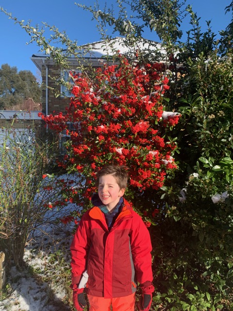 In Science, Year 2 were challenged to seek out examples of plants ‘thriving in Winter’ as part of their work on living things 🌱

Luckily, it also coincided with a chance to enjoy some snow in the sunshine! ❄️ #winter #walk #plants #engageinspirechallenge #DaveniesDigitalLearning