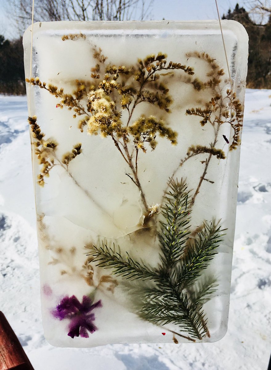 Sub-Zero Ice Art!!! Yes, I am getting crafty 🤗