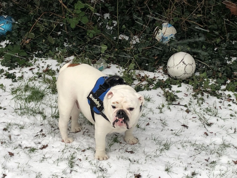 Bede Primary School tweet media