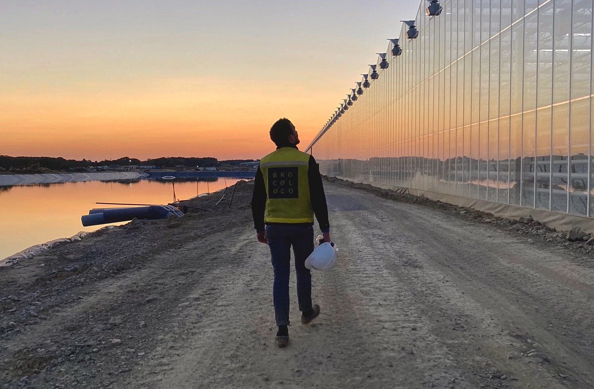 BroCoLoco tweet media