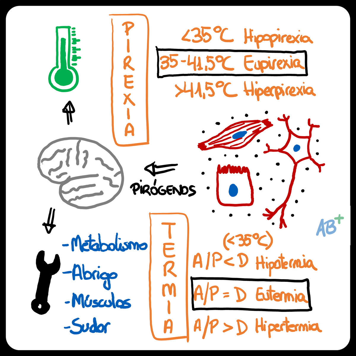 _ab_positivo's tweet photo. La situación ideal es cuando hay eupirexia (el cerebro genera temperatura de 35-39 ºC) y eutermia (absorbemos/generamos la misma energía que disipamos).
https://t.co/h3r6zPCEof https://t.co/iBCSu6smCu #abpositivo #fiebre #pirexia #termia #salu
https://t.co/t0S4vIhFnj https://t.co/ul63xiGD0F