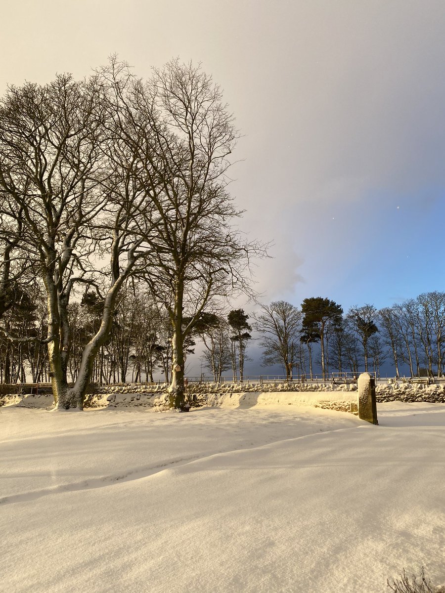 carole_brunton's tweet photo. Love a snowy day ❄️⛄️#snowday #toomanyphotos #eastneukoffife https://t.co/bNFGFuDz9l