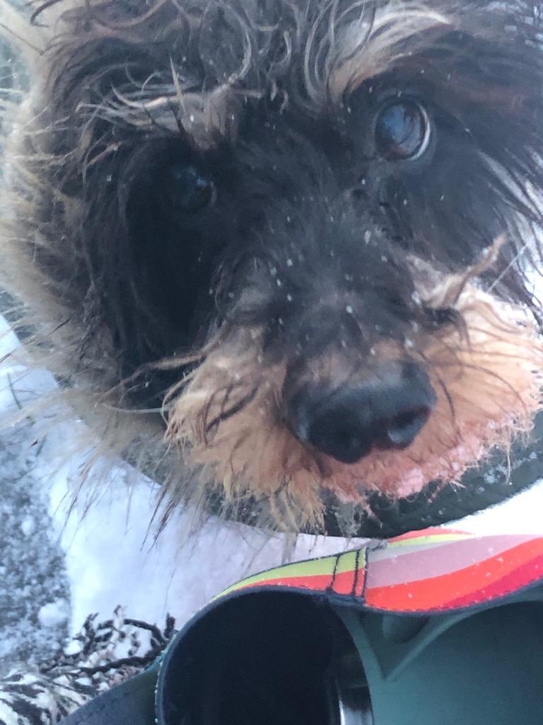 The snow’s brought something of an early 90s East 17 vibe to my look today 🤔