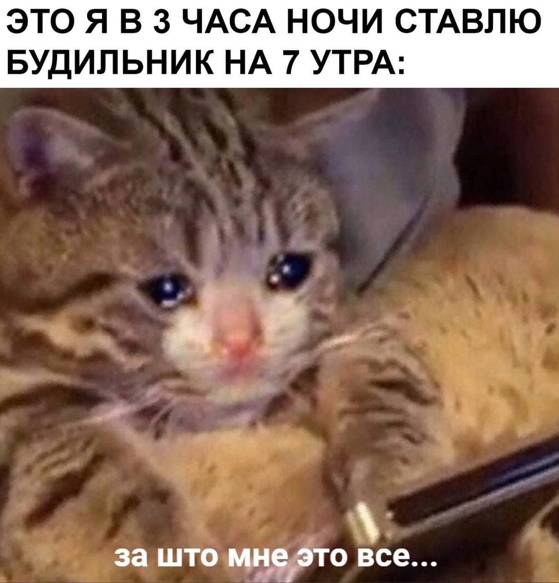zhsch's tweet photo. https://t.co/UxQkzvc77r