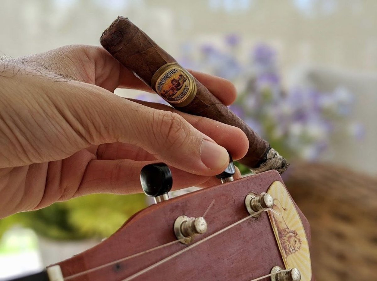 LaAuroraCigarUS's tweet photo. Fine-tune your palate with the earthy, smooth flavors of a La Aurora Preferido Gold Corojo. It's the perfect companion to creativity. How do you tap into your creative side?

#LaAuroraPreferidoGoldCorojo https://t.co/rA2eDh53xs