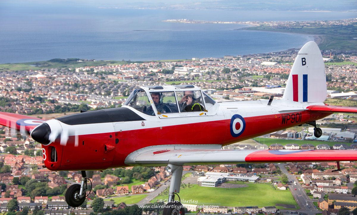 Claire Hartley tweet media