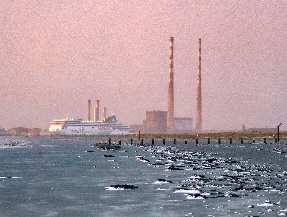 Snow on the seaweed on Bull Island this morning

#poolbegchimneys #bullisland #morninglight 

@PhotosOfDublin @DublinLive @VisitDublin @LovinDublin @LensAreLive @AimsirTG4 @WeatherRTE @EarthandClouds @irishfeedback @DublinPortCo @PicPoet