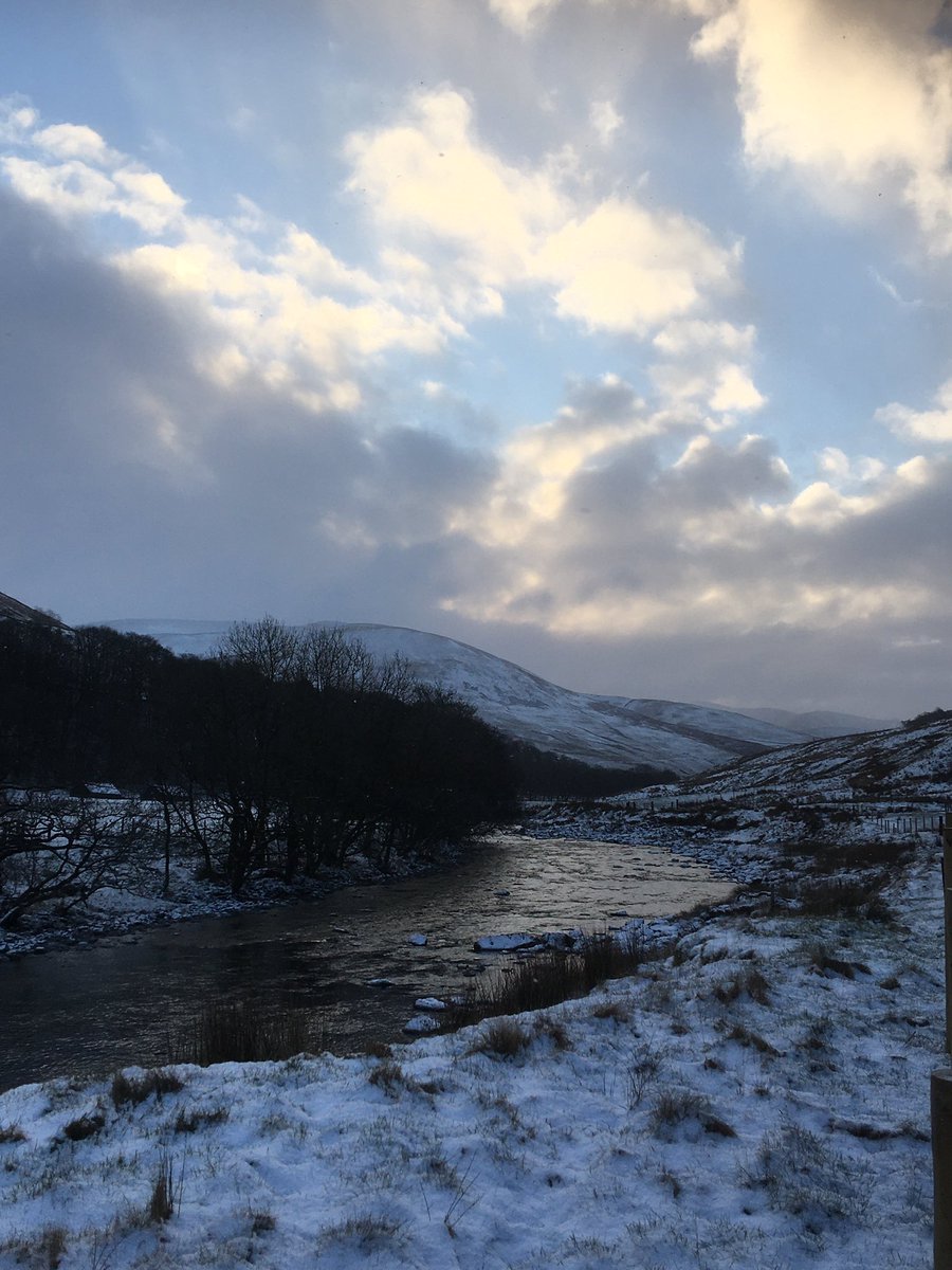 LakesFarming tweet media